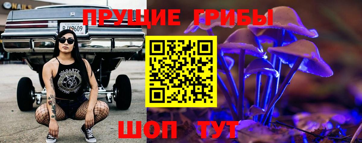 Галлюциногенные грибы MAGIC MUSHROOMS  Вход с VPN  Боровичи 